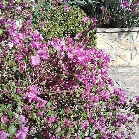 Quiesa Villa Emma I Lecci المظهر الخارجي الصورة